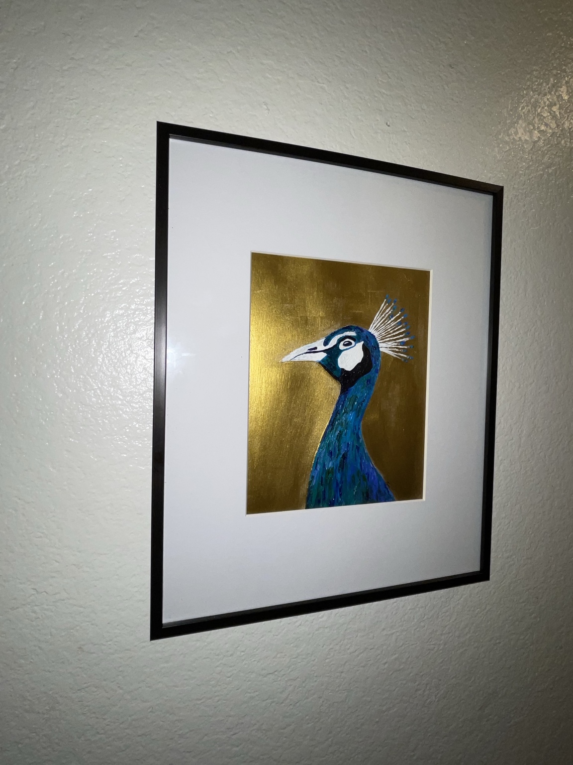 Golden Peacock, alternate view 3