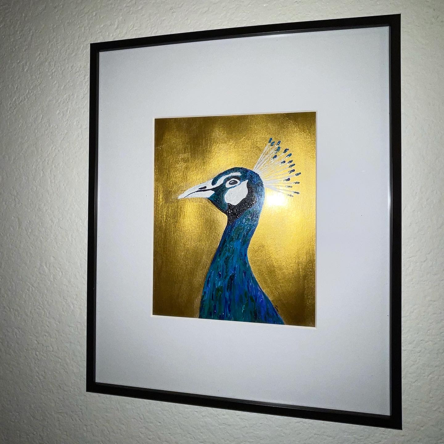 Golden Peacock, alternate view 2